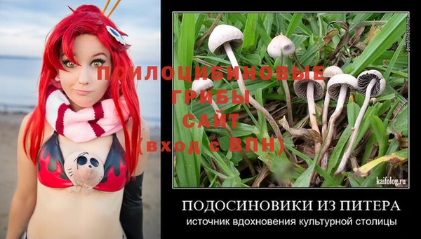 дурь Алексин