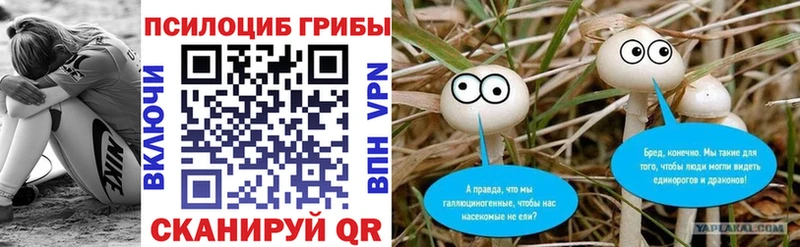 Псилоцибиновые грибы Psilocybe что такое наркотик Ухта